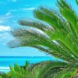 Beach scene via Zachary Brown and Unsplash