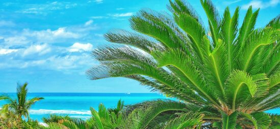 Beach scene via Zachary Brown and Unsplash