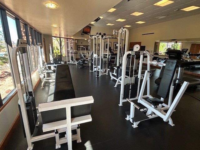 gym